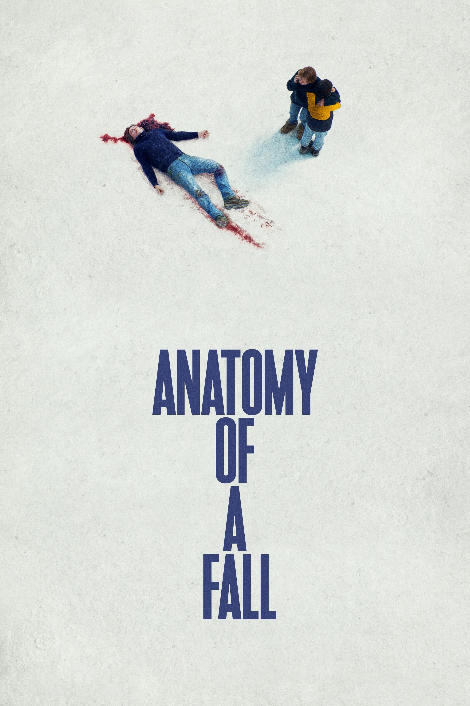 Anatomie d'une chute poster